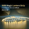 Flexibele het Lopende Water Lichte Markttent 5050 RGBW Vier van het Strook Lichte Neon in