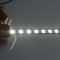 Waterdichte LEIDENE van 12/24V SMD 5050 Strook het Lichte Lichaam van de het Koperlamp van 60 Leds/van M Flexibele