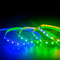 Rgb 5050 leidden de Strookkleur van Waterproo van Strooklichten het Flexibele Lichte Veranderen